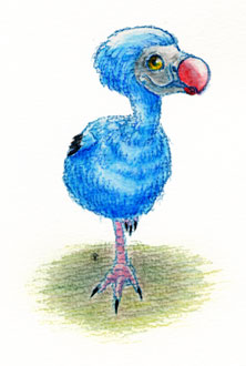 blue dodo