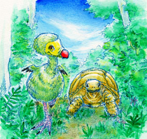 with tortoise